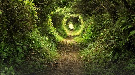 A Magical Escapade: Exploring a Nearby Tunnel of Marvels